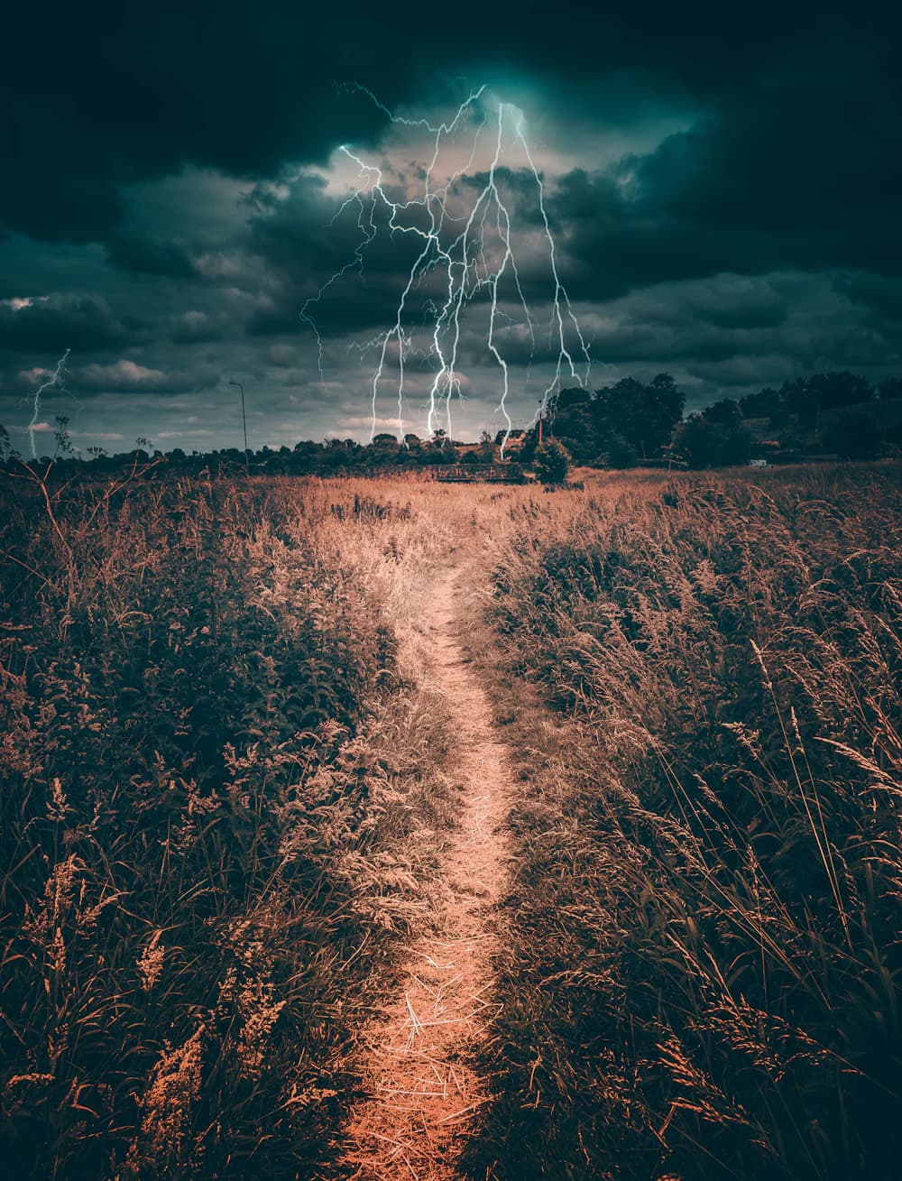 Lightning Protection Systems